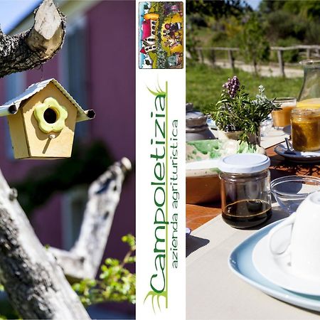 Agriturismo Campoletizia Miglianico Екстер'єр фото