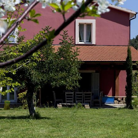 Agriturismo Campoletizia Miglianico Екстер'єр фото