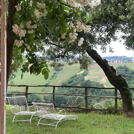 Agriturismo Campoletizia Miglianico Екстер'єр фото