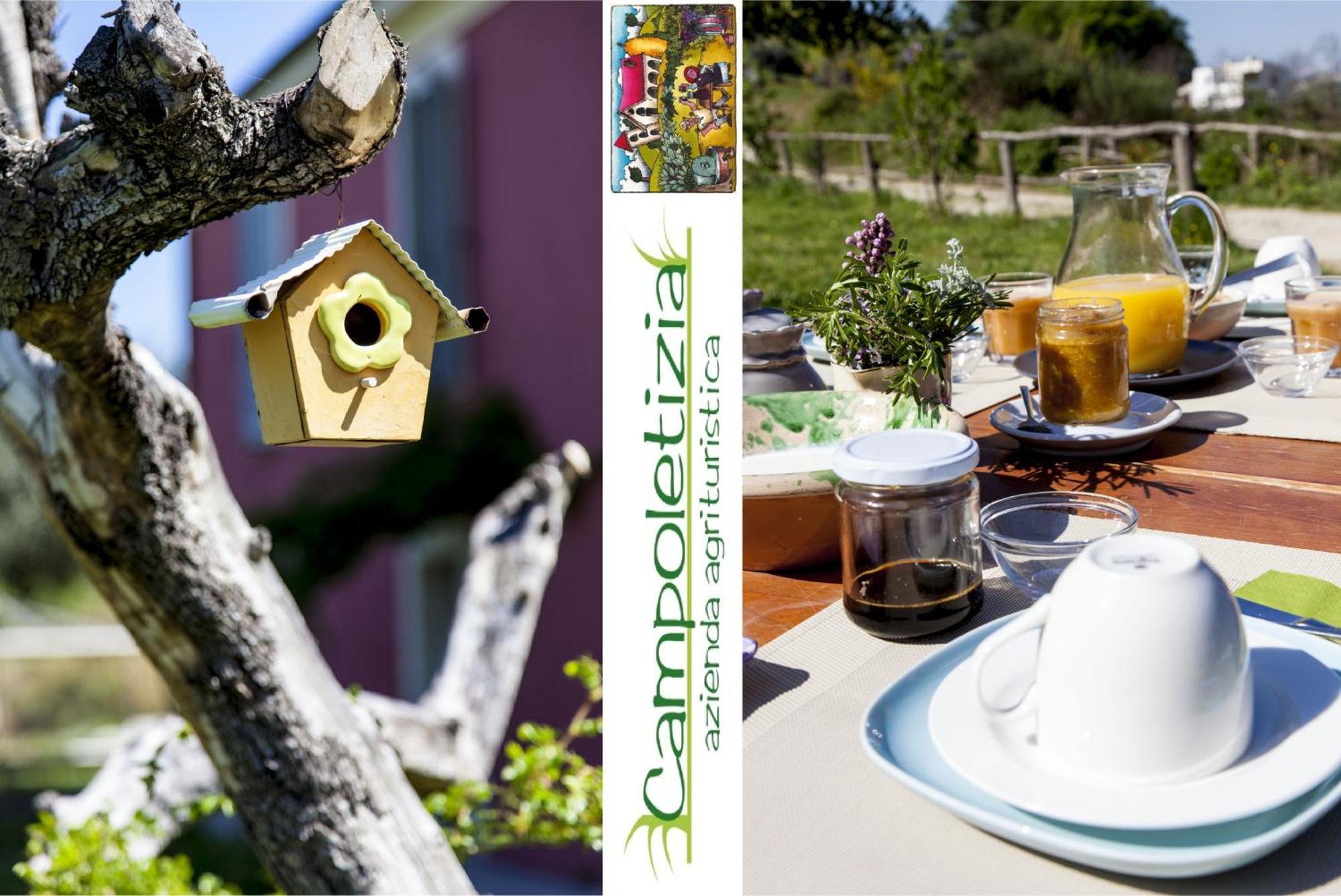 Agriturismo Campoletizia Miglianico Екстер'єр фото