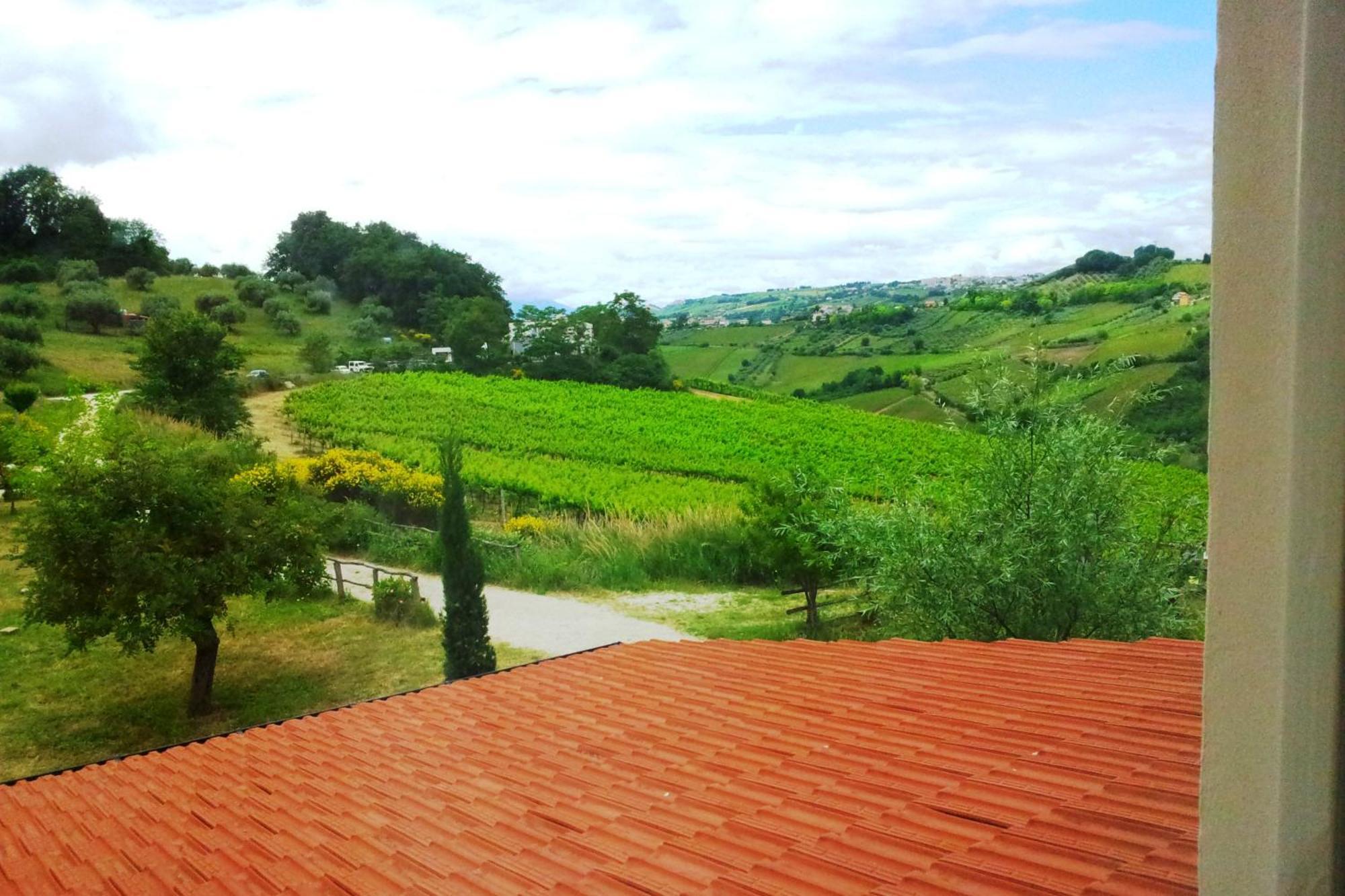 Agriturismo Campoletizia Miglianico Номер фото