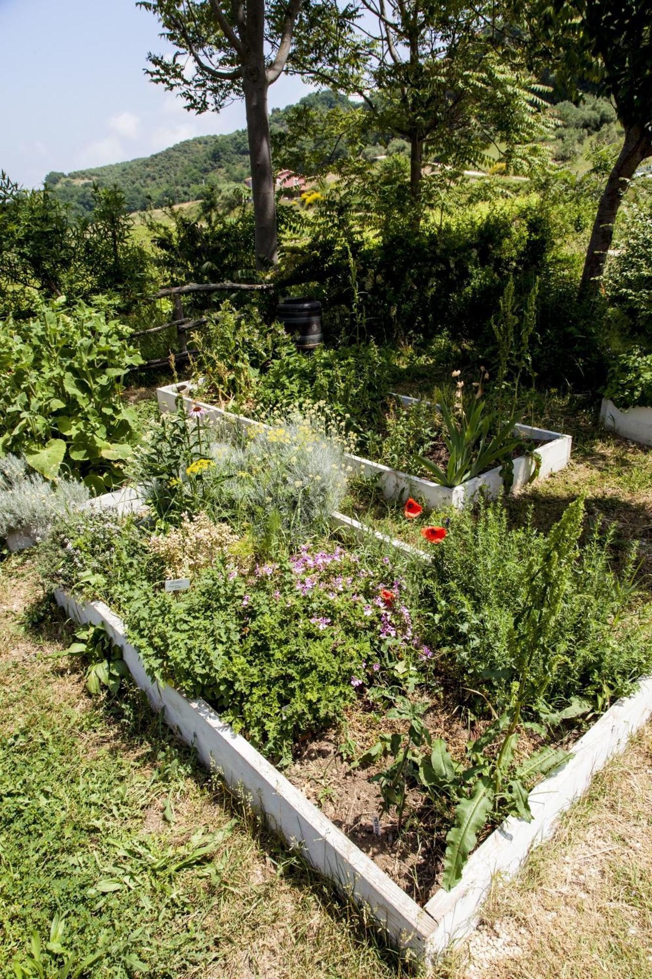 Agriturismo Campoletizia Miglianico Екстер'єр фото