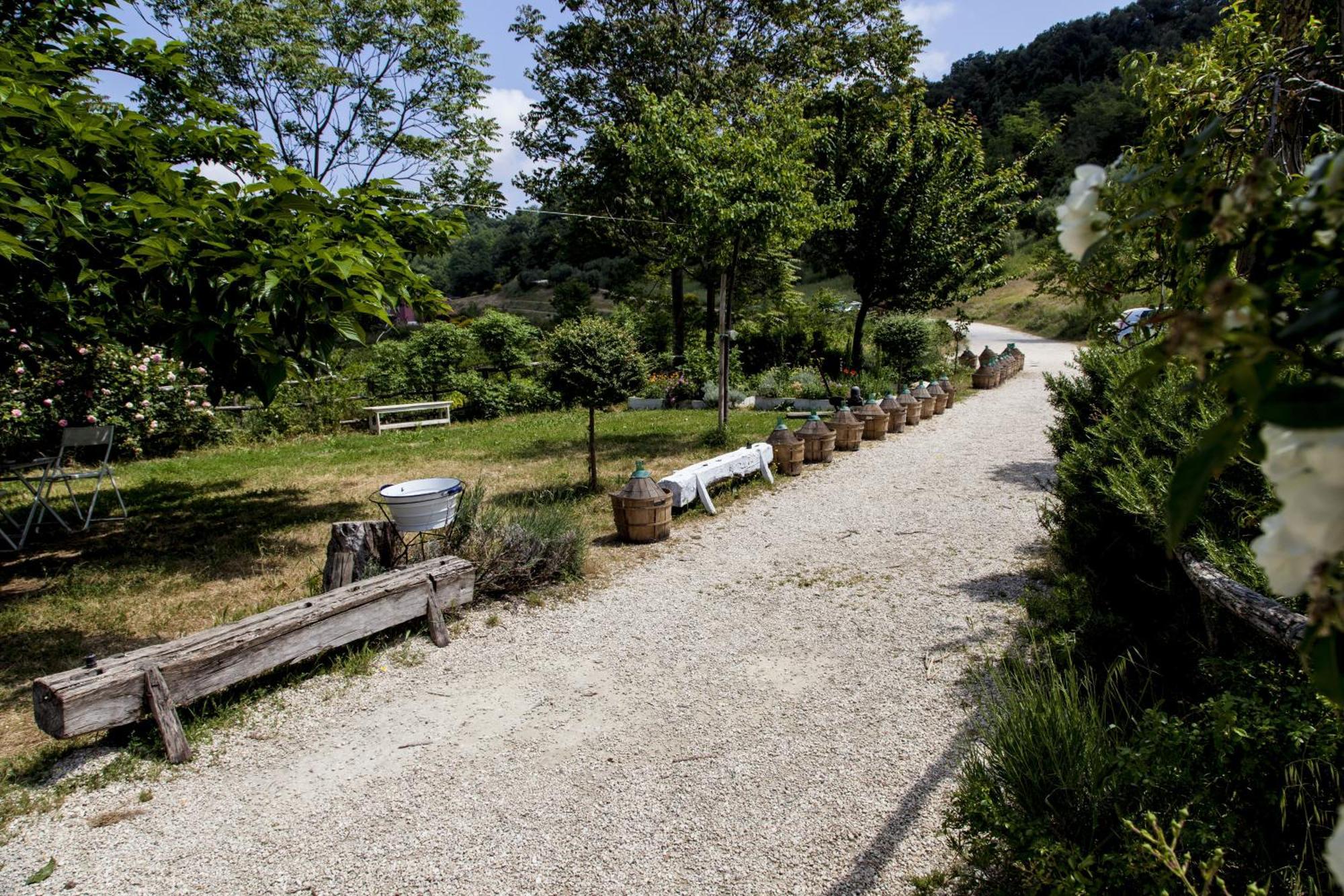 Agriturismo Campoletizia Miglianico Екстер'єр фото