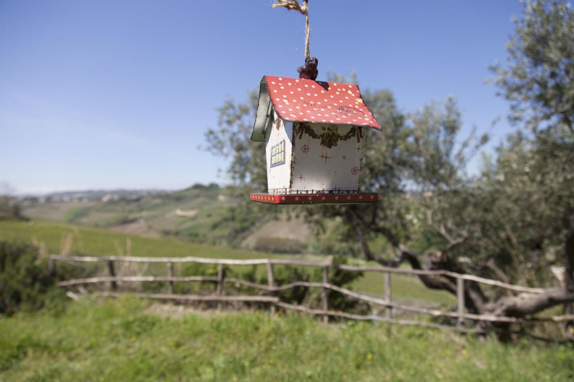 Agriturismo Campoletizia Miglianico Екстер'єр фото