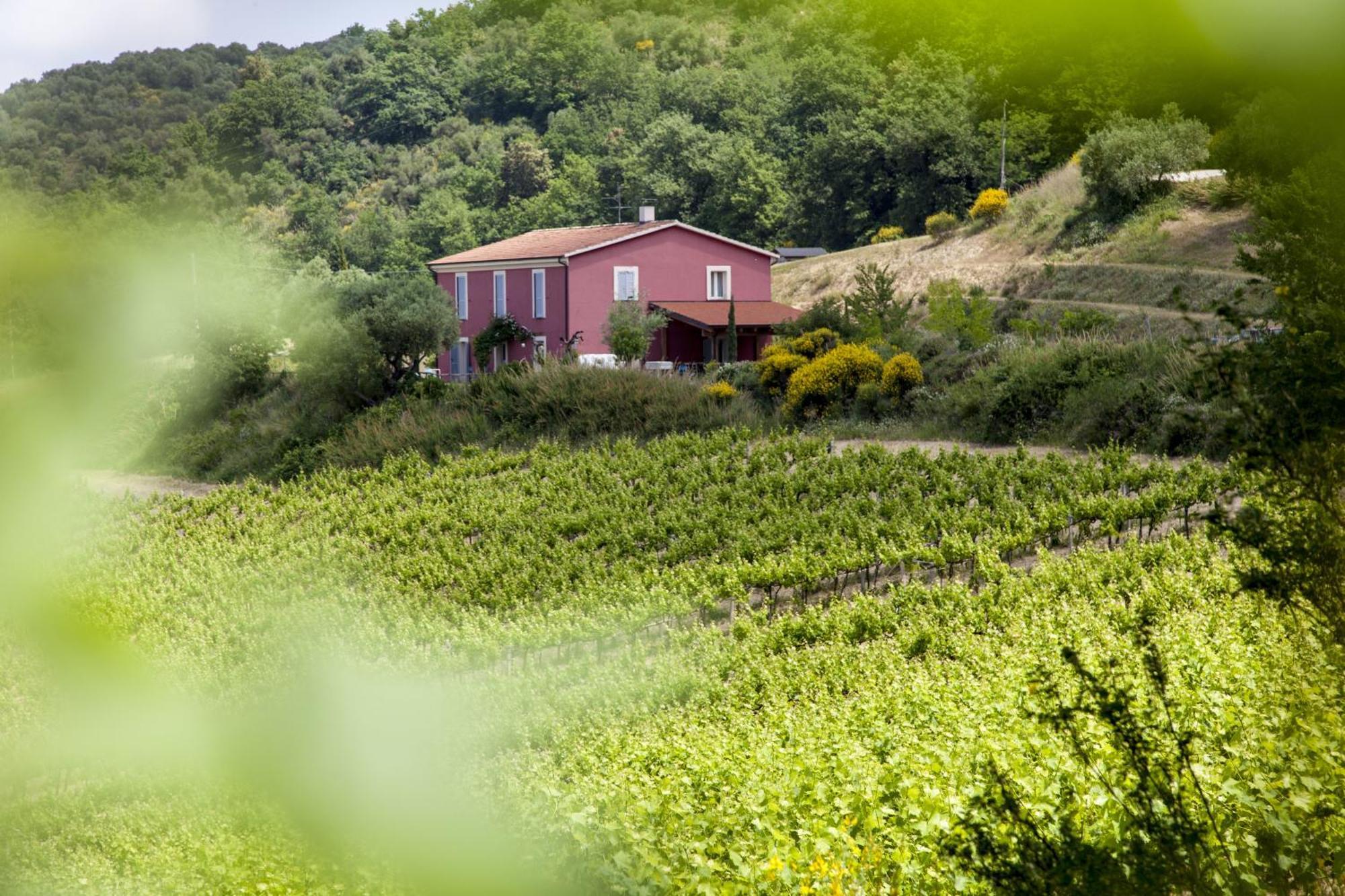 Agriturismo Campoletizia Miglianico Екстер'єр фото