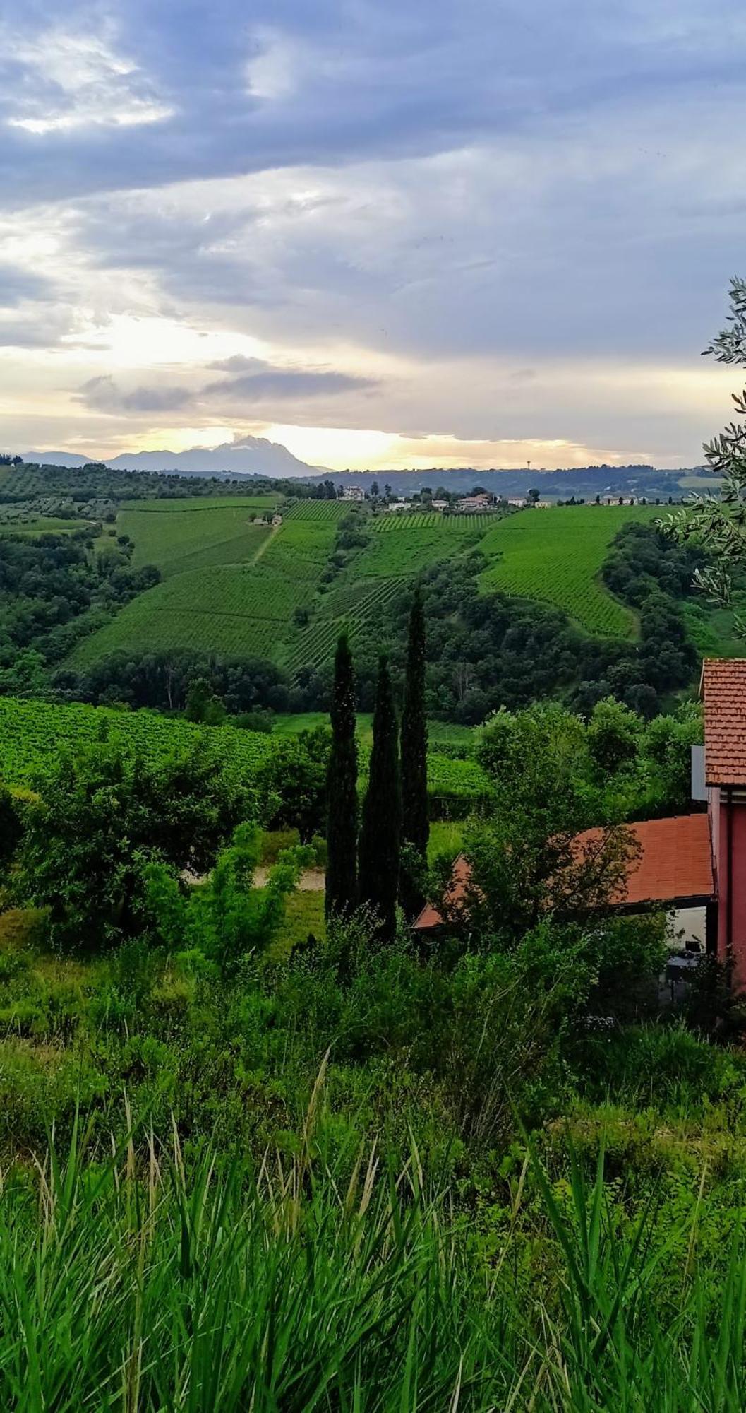 Agriturismo Campoletizia Miglianico Екстер'єр фото