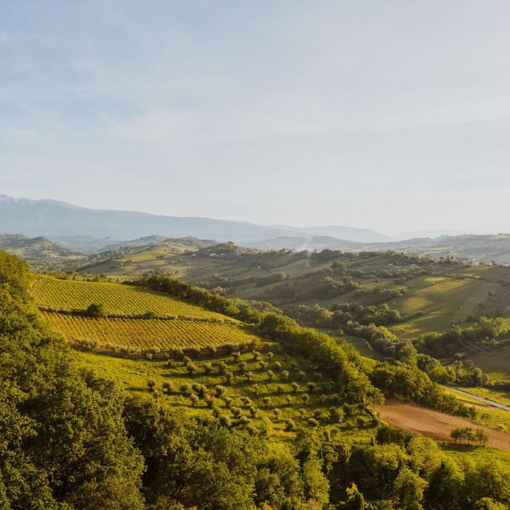 Agriturismo Campoletizia Miglianico Екстер'єр фото