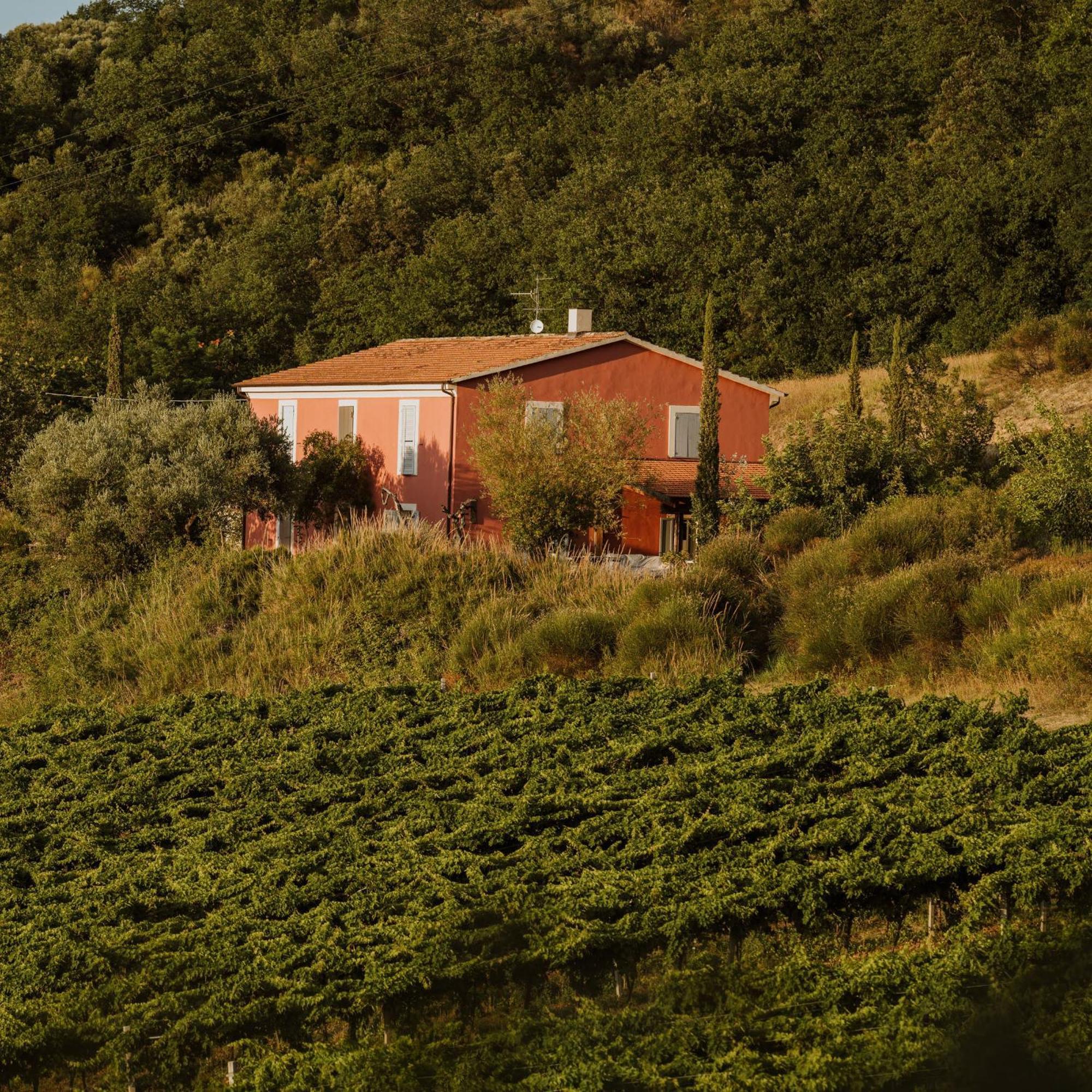 Agriturismo Campoletizia Miglianico Екстер'єр фото