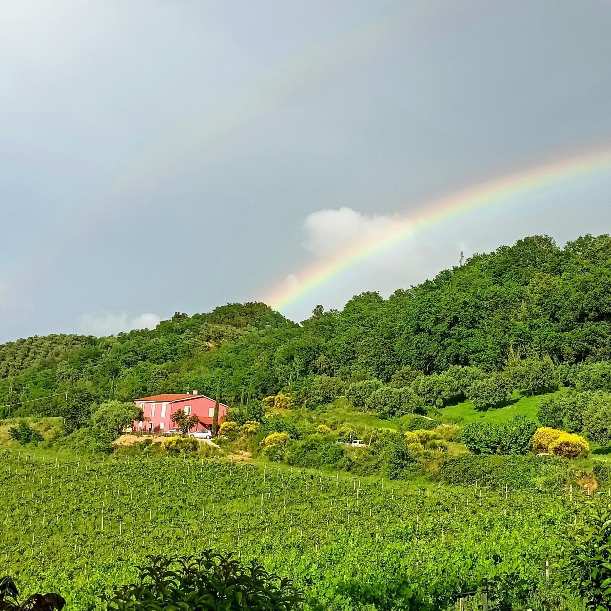 Agriturismo Campoletizia Miglianico Екстер'єр фото